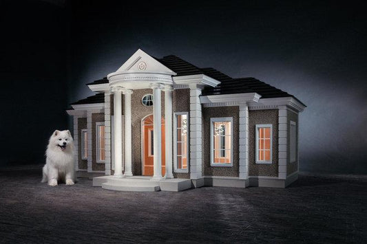 The Rise of the $200,000 Dog Mansion: Where Luxury Living Goes to the Dogs