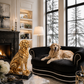 24K Golden Retriever Statute