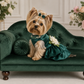 Dog in a green dress sitting on a small green couch with floral decorations.