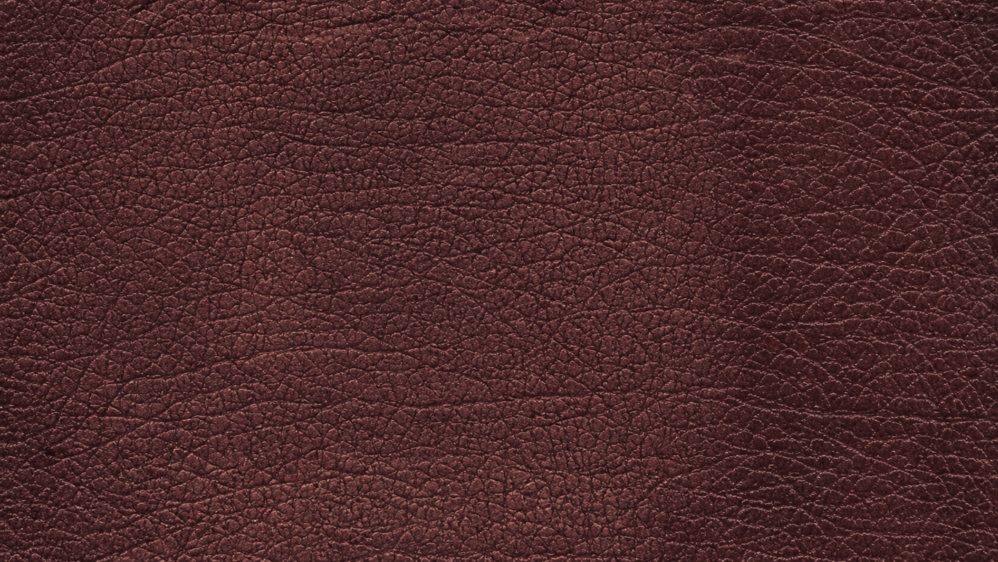 The Verona Petite Lounge™  Italian Handcrafted Luxury Pet Sofa