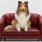 The Verona Petite Lounge™  Italian Handcrafted Luxury Pet Sofa