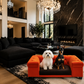 Custom Velvet Dog Sofa