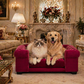 Custom Velvet Dog Sofa