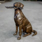 Bailey Bronze Labrador Sculpture