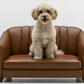 The Verona Petite Lounge™  Italian Handcrafted Luxury Pet Sofa