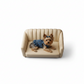 Small dog wearing a denim outfit sitting on a beige couch against a blue background