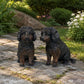 Custom Dog & Cat Sculptures