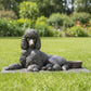 Custom Dog & Cat Sculptures